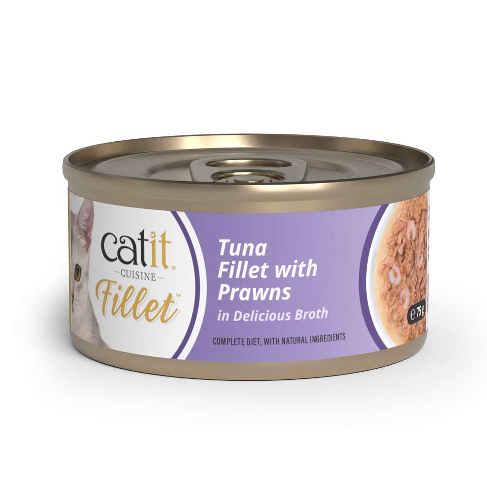 Tuna Fillet in Broth