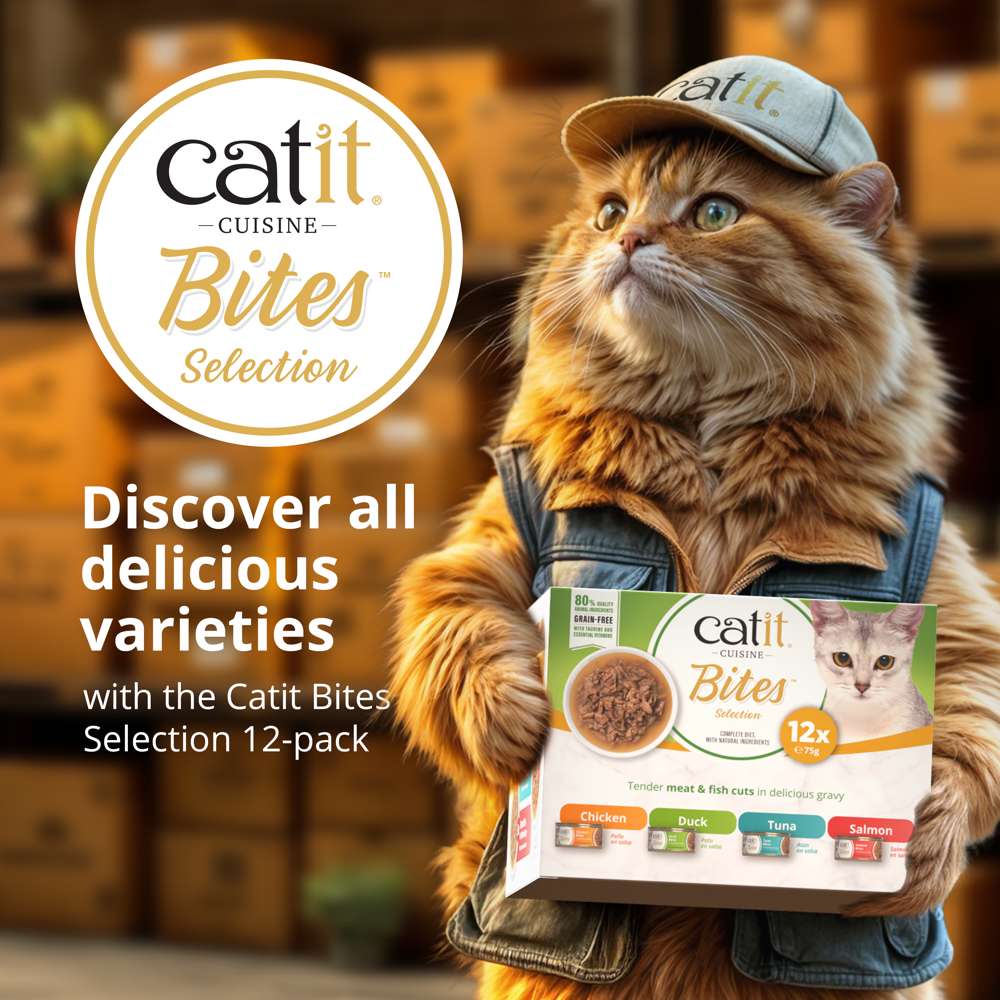 Catit Cuisine Meaty Bites in Gravy