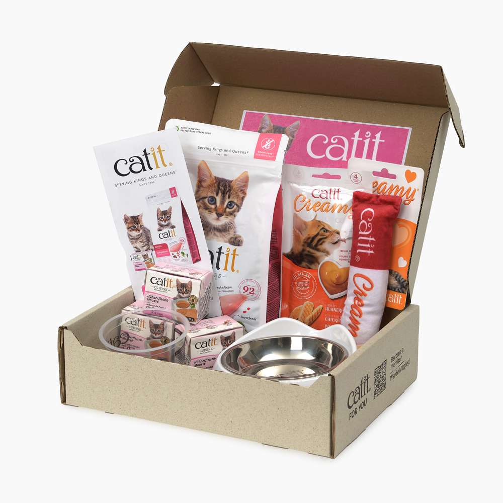 Kitten Starter Box