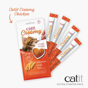 Kitten Starter Box