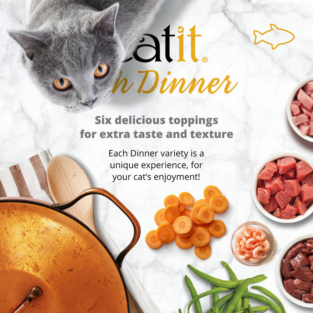 Catit Fish Dinner with Salmon & Green Beans 6 Pack