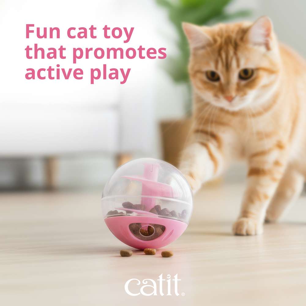 Catit Interactive Treat Ball