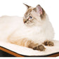 Catit Vesper High Base Black