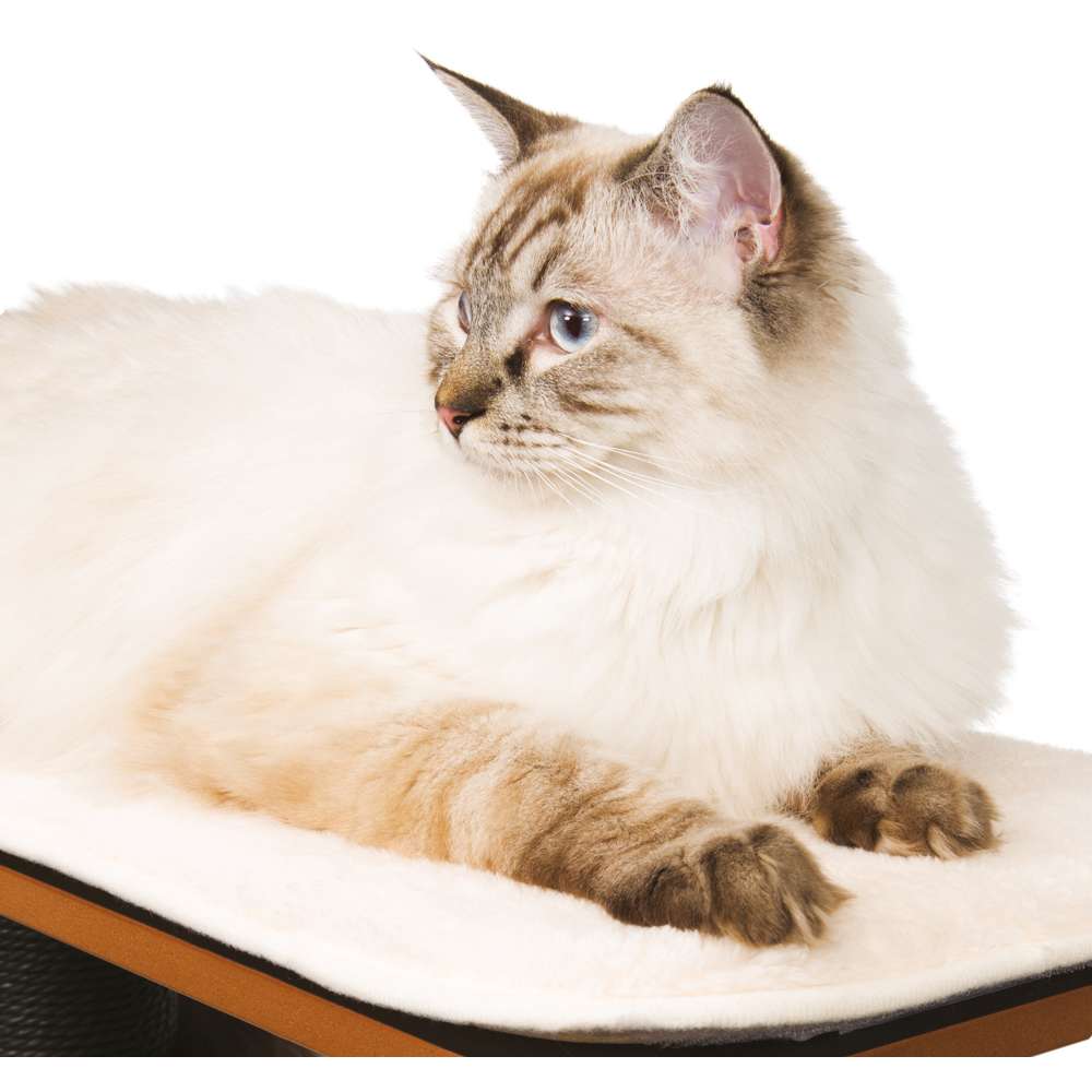 Catit Vesper High Base Black
