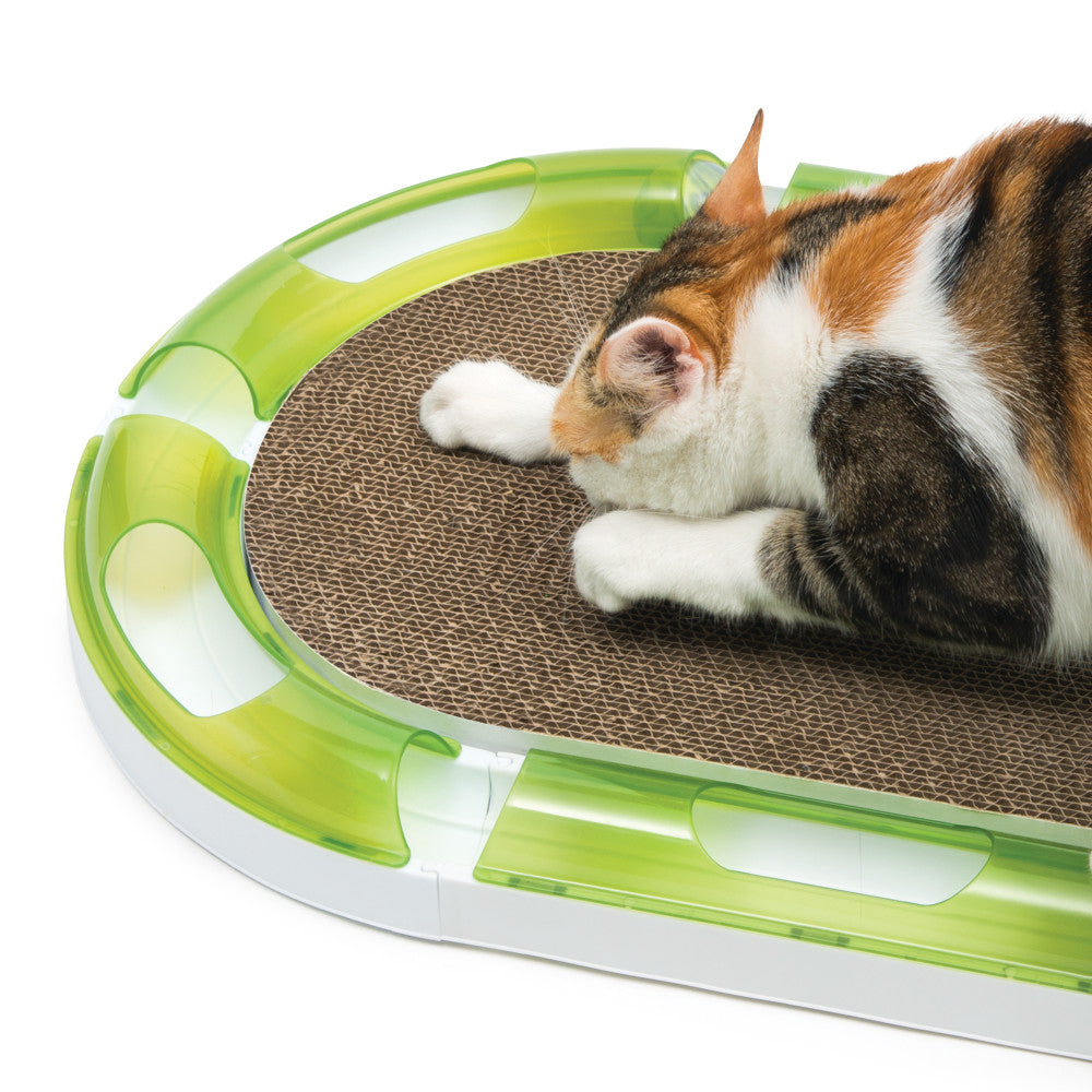 Senses Oval Scratcher Catit UK Official Catit Brand Store