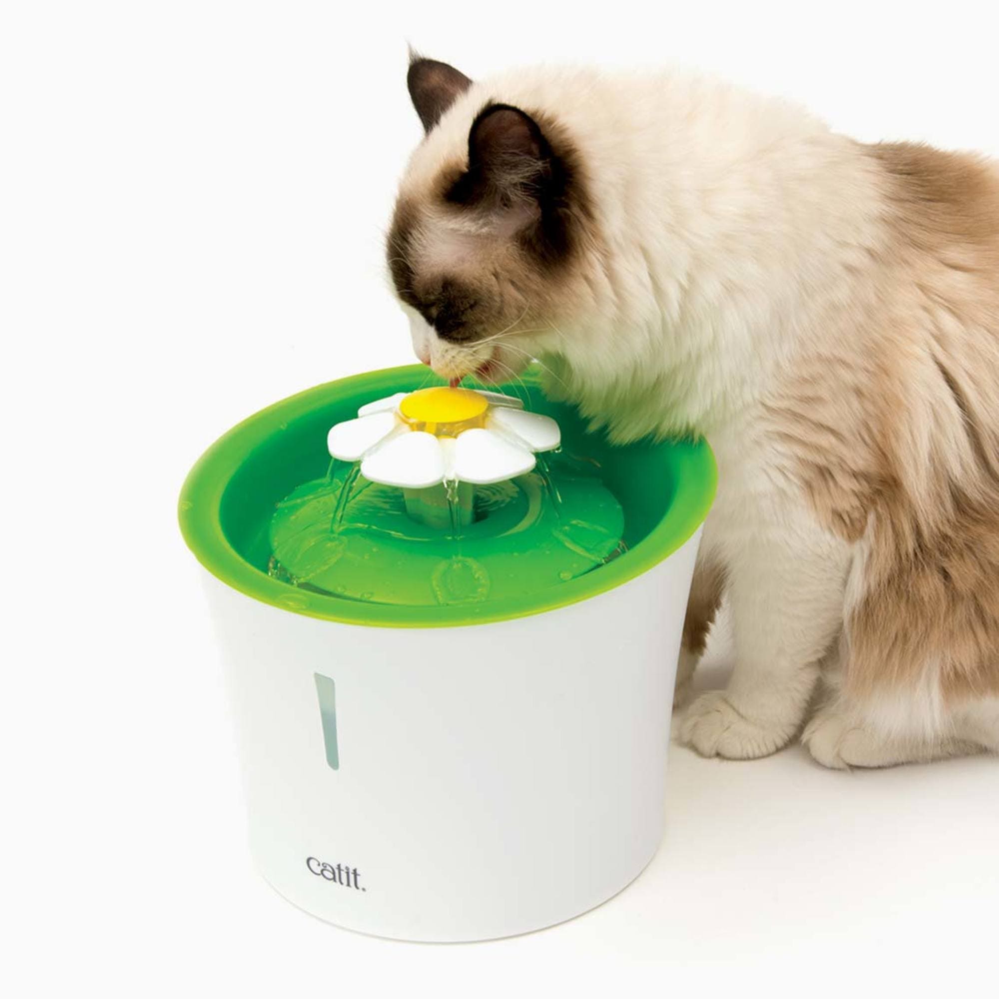 Catit fountain store