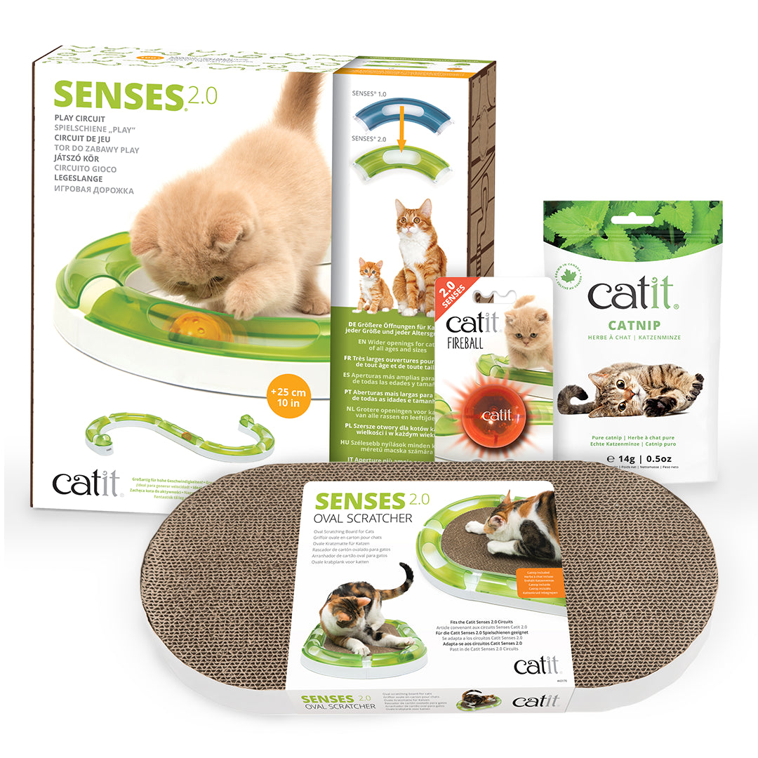 Catit Play & Scratch Essentials Box
