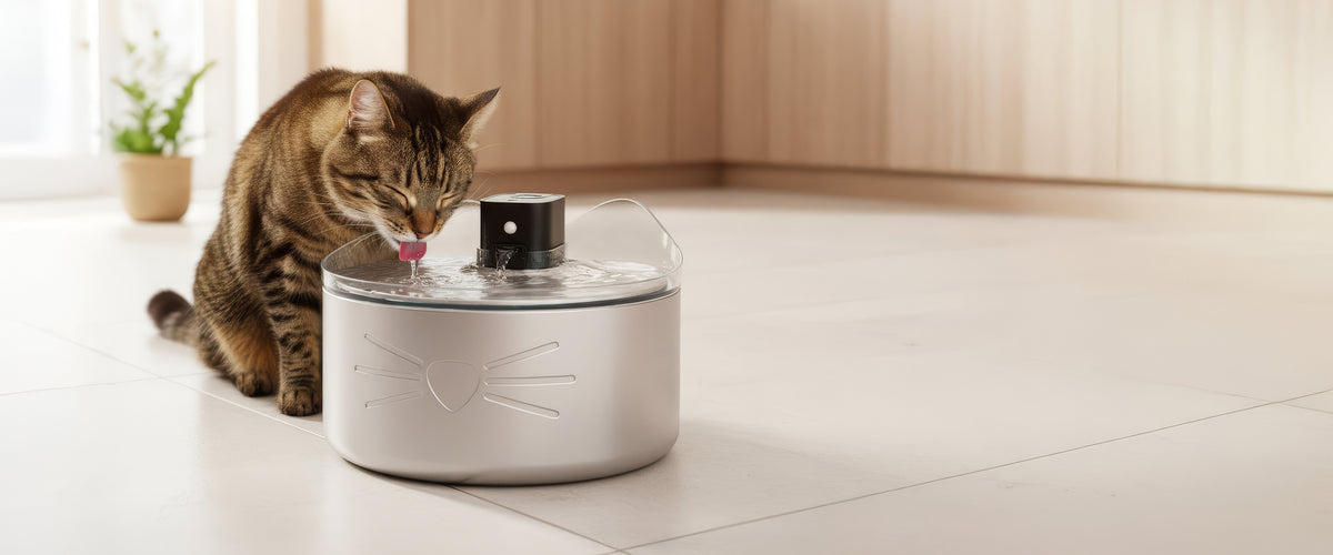 Catit UK | Premium Cat Food, Treats, Litter & Fountains – Catit UK ...