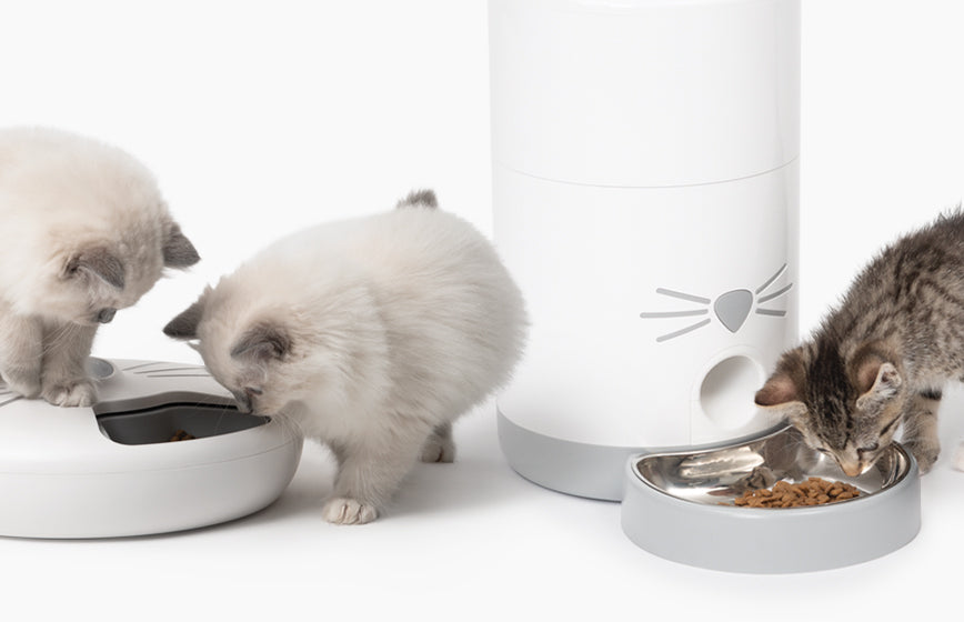 Catit Diffuser Catit UK - Official Catit Brand Store