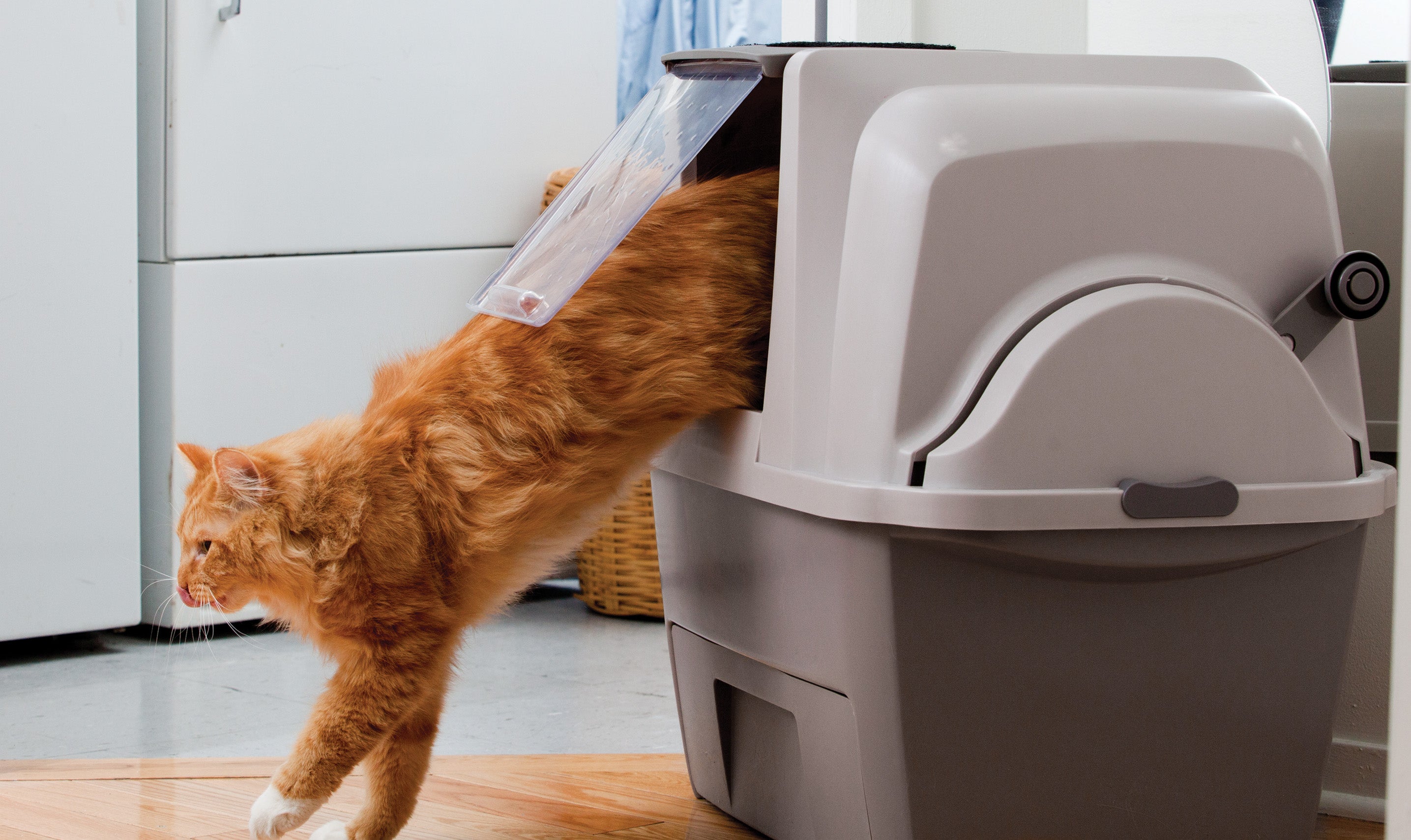 thumbnail image 2 of Cat Litter Box Hooded Litter Box Large Litter Boxes For Big Cats 2 of 13