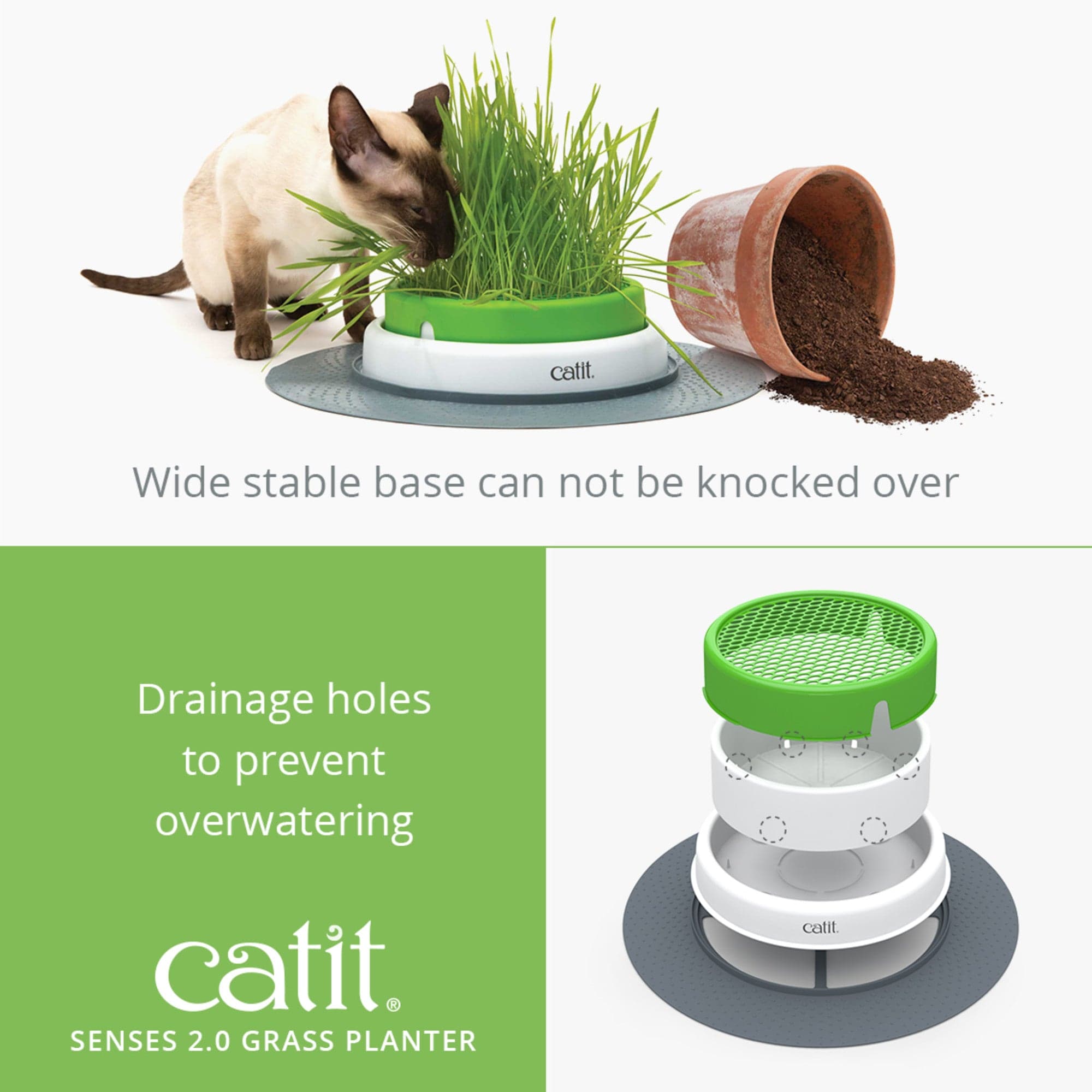 Catit Senses Grass Planter Catit UK Official Catit Brand Store