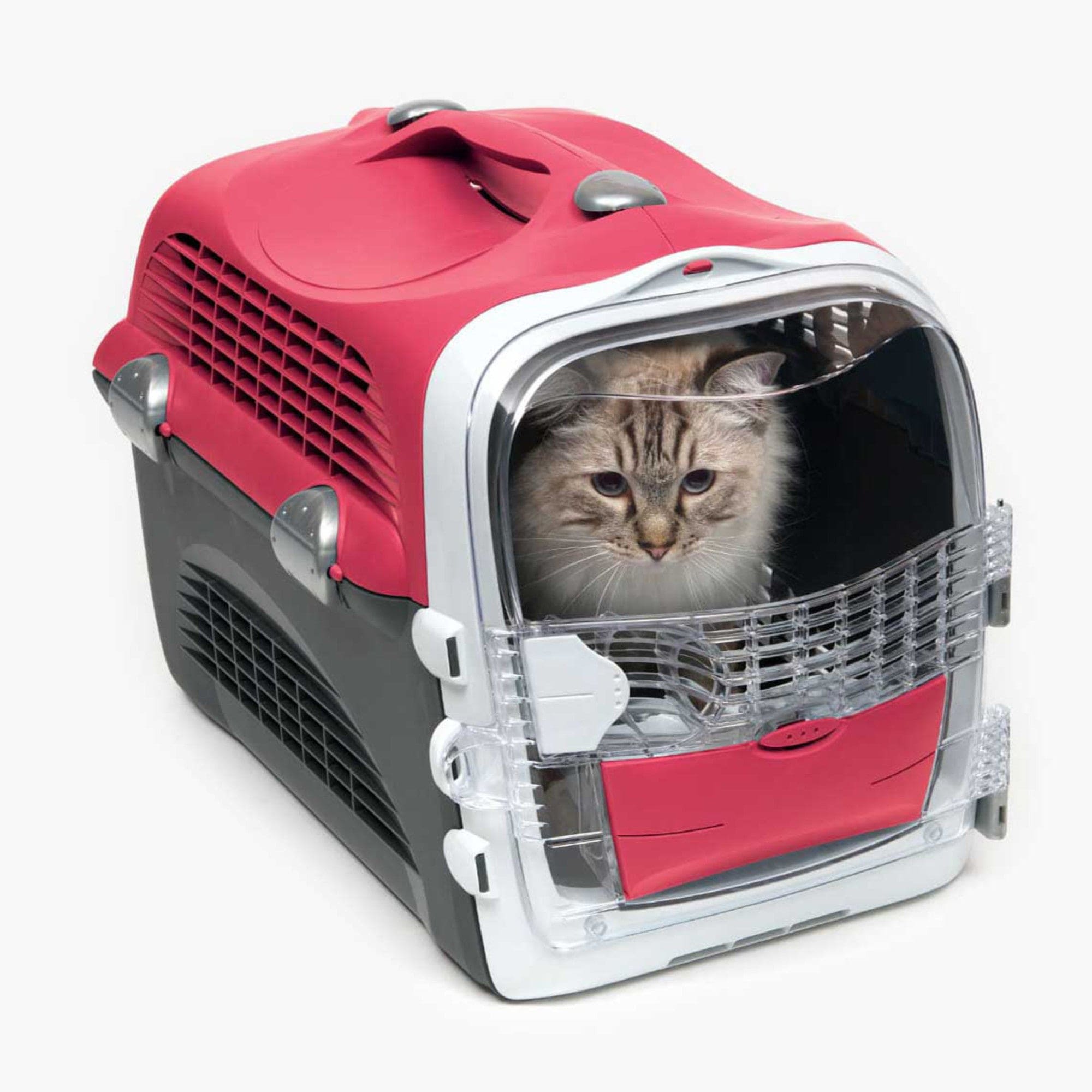 Double cat carrier uk best sale