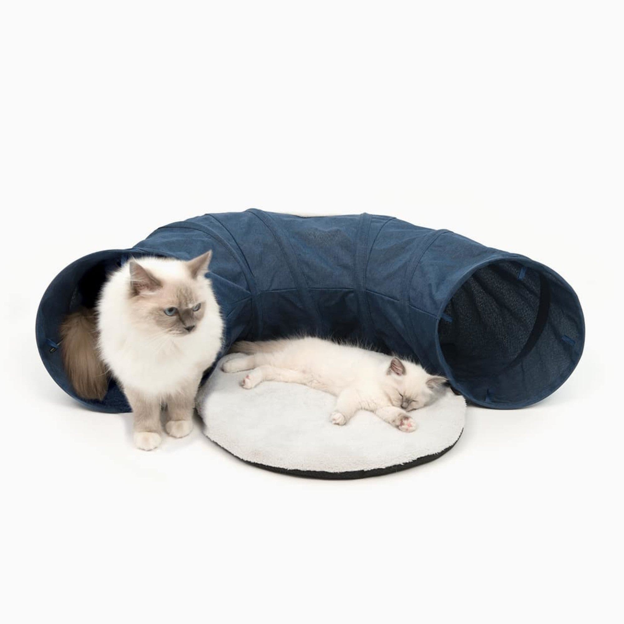 Vesper Tunnel Blue Catit UK Official Catit Brand Store