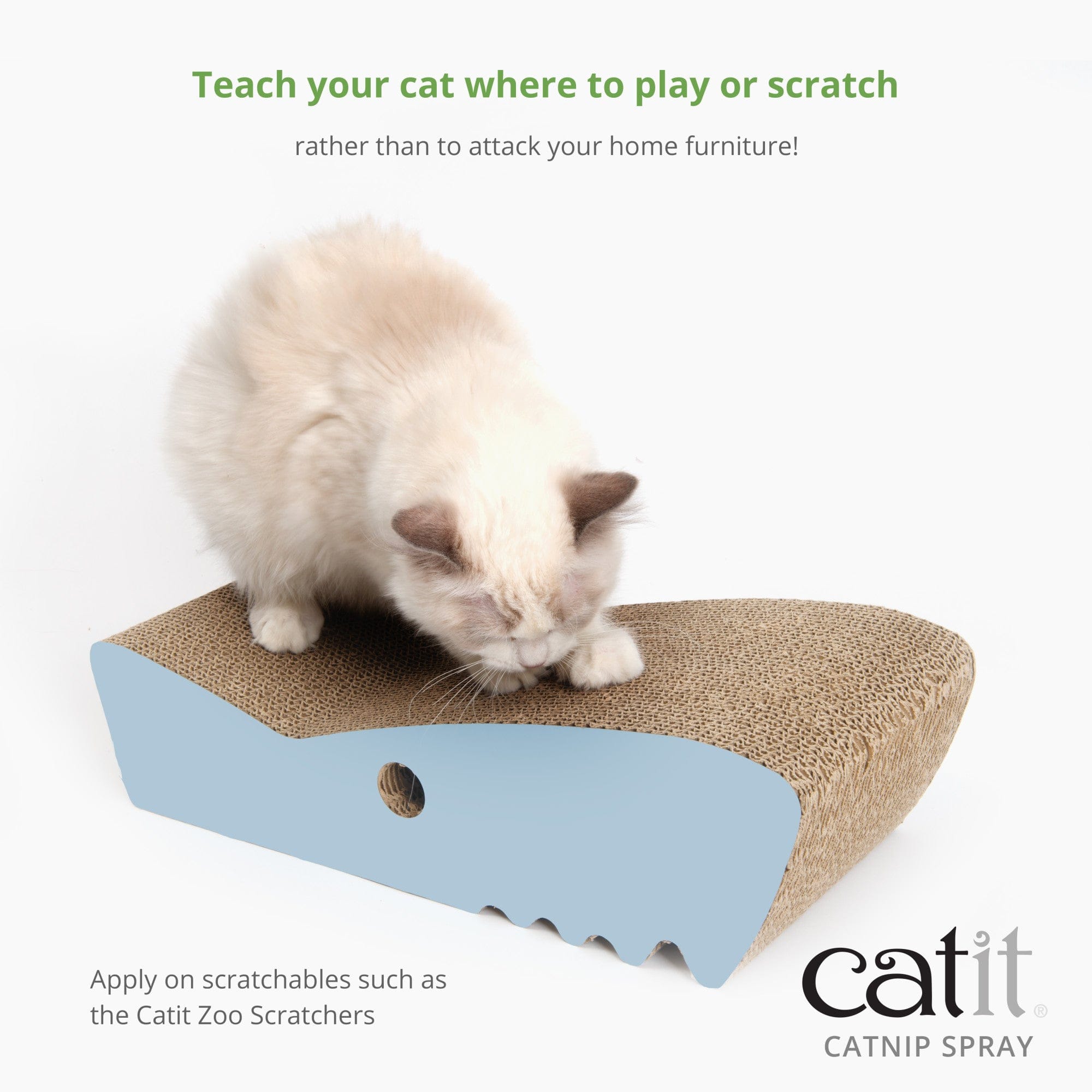 Catit scratcher with store catnip