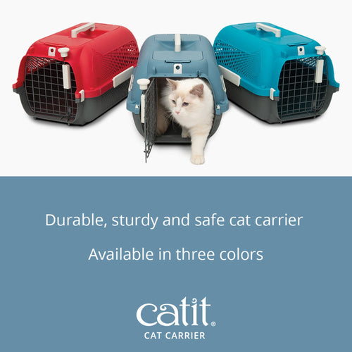 Pet supplies best sale plus cat carrier