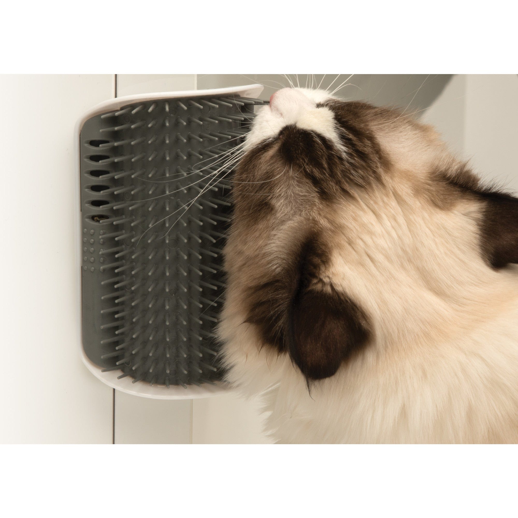 Cat cheek scratcher best sale