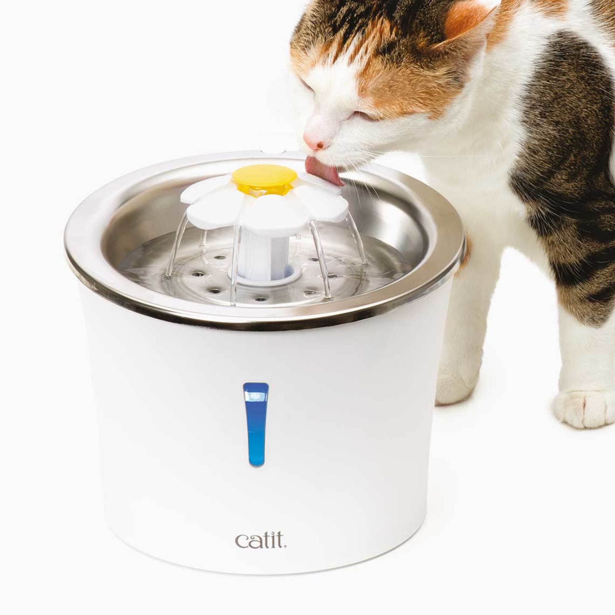 Catit fresh & clear stainless outlet steel top drinking fountain