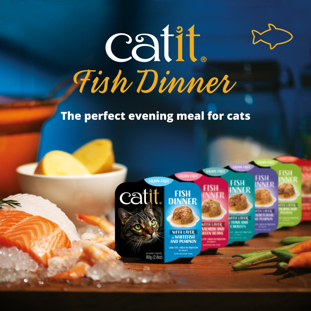 Catit Fish Dinner with Whitefish & Pumpkin