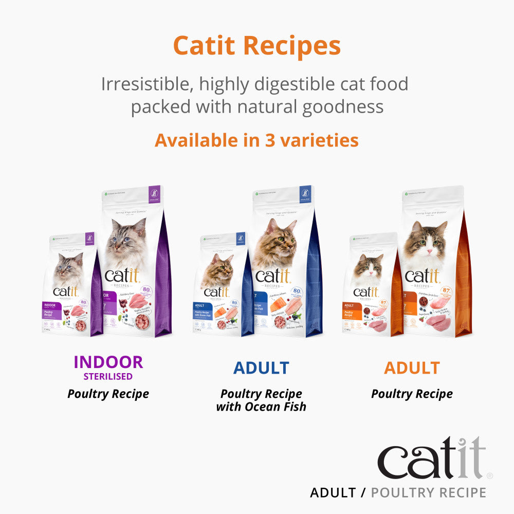 Catit Recipes Adult Poultry Recipe Cat Food Catit UK Official