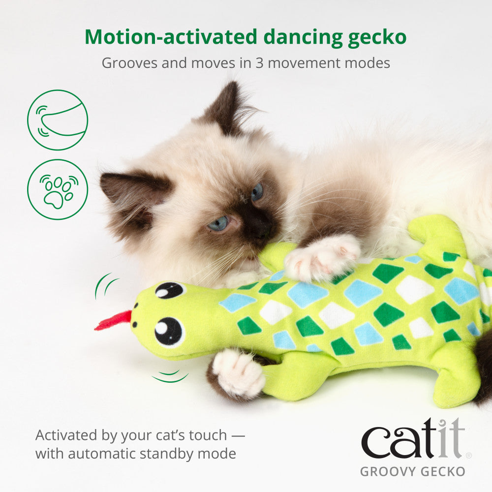 Catit Groovy Gecko